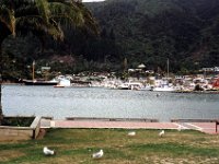 Picton 2